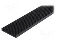 Heatsink: extruded; grilled; black; L: 1000mm; W: 100mm; H: 15mm SEIFERT ELECTRONIC