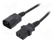 Cable; 3x1mm2; IEC C13 female,IEC C14 male; PVC; 3m; black; 16A 