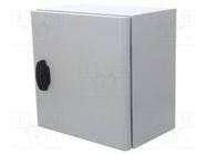 Enclosure: wall mounting; X: 300mm; Y: 300mm; Z: 200mm; Spacial S3D SCHNEIDER ELECTRIC