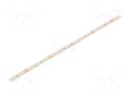 LED tape; white neutral; 2835; LED/m: 160; 8mm; IP20; 120°; 13W/m Ledxon
