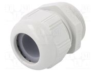 Cable gland; PG29; IP68; polyamide; light grey LAPP