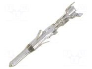 Contact; male; Mini-Fit Sigma,Mini-Fit TPA2; tinned; 24AWG÷22AWG MOLEX
