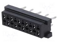 Connector: Micro-MaTch; socket; female; PIN: 10; straight; THT; 2x5 TE Connectivity