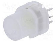 Switch: push-button; Pos: 2; SPST-NO; 0.01A/35VDC; LED; white; THT C&K