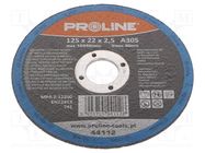 Cutting wheel; Ø: 125mm; Øhole: 22mm; Disc thick: 2.5mm; steel PROLINE