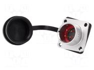Connector: circular; socket; male; PIN: 4; IP67; SA16; 5A; 500V WEIPU