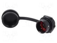 Connector: circular; socket; male; PIN: 4; IP67; SA16; 5A; 500V WEIPU
