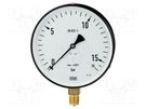Manometer; 0÷160bar; Class: 1.6; 160mm; Temp: -25÷60°C; IP50; 111.22 WIKA