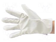Cleanroom acces: protective gloves; white; L; dissipative; ISO 6 EUROSTAT GROUP