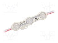 LED; red; 1.2W; IP68; 160°; No.of diodes: 3; 5730; 66x15mm; 12VDC IPIXEL LED