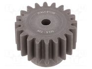 Spur gear; whell width: 40mm; Ø: 55mm; Number of teeth: 20; ZCL ELESA+GANTER