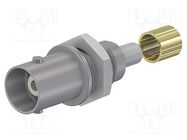 Connector: BNC; socket; grey; Connection: screwed,crimped; 5÷40°C STÄUBLI