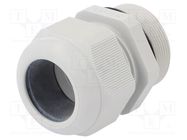 Cable gland; with long thread; M40; 1.5; IP68; polyamide; grey FIBOX