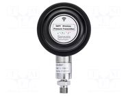 Converter: pressure; 0÷1bar; relative pressure; IP68; 1/4" BSP SENSATA / CYNERGY3