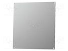 Mounting plate; steel; 2mm; PS432; Series: Polysafe BOPLA