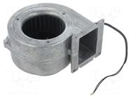 Fan: AC; blower; 115VAC; 117.5x116.5x80mm; ball; Len: 300mm; Ø: 85mm EBM-PAPST