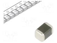 Varistor: multilayer; SMD; 0805; 25VAC; 31VDC; 0.3J; 80A; 67V; 5mW EPCOS