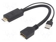 Adapter; DisplayPort socket,HDMI plug,USB A plug; 0.1m; black GEMBIRD