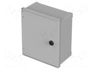 Enclosure: wall mounting; X: 250mm; Y: 300mm; Z: 140mm; Polysafe BOPLA