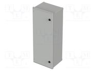 Enclosure: wall mounting; X: 300mm; Y: 300mm; Z: 230mm; Polysafe BOPLA