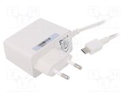 Power supply: switched-mode; mains,plug; 5VDC; 2A; 10W; Plug: EU POS