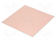 Laminate; FR4,epoxy resin; 1.6mm; L: 200mm; W: 200mm; double sided RADEMACHER