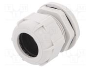 Cable gland; M40; 1.5; IP68; polyamide; light grey; UL94V-2 BM GROUP