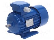 Motor: AC; 3-phase; 0.55kW; 230/400VAC; 1360rpm; IP54; -30÷60°C BESEL