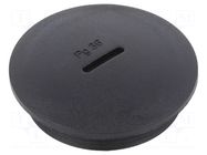 Stopper; PG36; IP54; polyamide; black; V-N-FS; Thread: PG; 10mm HUMMEL