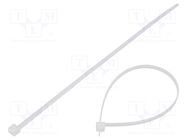 Cable tie; multi use; L: 250mm; W: 4.6mm; polyamide; 200N; natural HELLERMANNTYTON