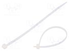 Cable tie; L: 140mm; W: 3.6mm; polyamide; 80N; natural; Ømax: 33mm BM GROUP