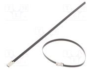 Cable tie; L: 200mm; W: 4.6mm; stainless steel AISI 304; 450N BM GROUP