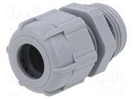 Cable gland; PG11; IP68; polyamide; dark grey BM GROUP