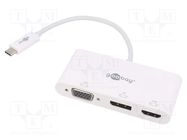 Adapter; DisplayPort 1.2,HDMI 1.4,USB 3.0; 0.15m; white; white Goobay