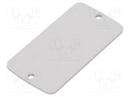 Front panel; aluminium; W: 30.8mm; L: 59.9mm; Thk: 2mm TEKO