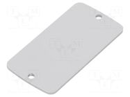 Front panel; aluminium; W: 30.8mm; L: 59.9mm; Thk: 2mm TEKO