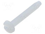 Screw; UNC4-40x19.05; Head: cheese head; slotted; polyamide KEYSTONE