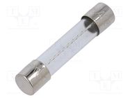 Fuse: fuse; time-lag; 16A; 32/250VAC; glass; 6.3x32mm; brass; TSA OPTIFUSE