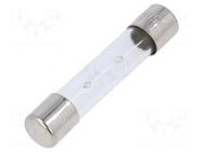 Fuse: fuse; 5A; 250VAC; time-lag; glass; 6.3x32mm; TSA; brass OPTIFUSE