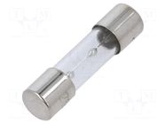 Fuse: fuse; 10A; 250VAC; time-lag; glass; 5x20mm; TSC; brass; bulk OPTIFUSE
