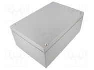 Enclosure: multipurpose; X: 200mm; Y: 300mm; Z: 121mm; steel; grey RAYCHEM RPG