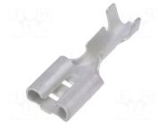 Terminal: flat; 6.3mm; 0.8mm; female; 0.5÷1.5mm2; crimped; straight IMP