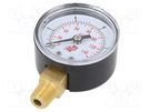 Manometer; 0÷10bar; non-aggressive liquids,inert gases; 40mm PNEUMAT