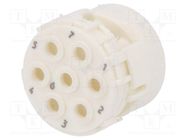 Connector: M23; contact insert; PIN: 7; male; crimped; w/o contacts 