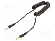 Cable; Jack 3.5mm 3pin plug x2,both sides; Plating: gold-plated GEMBIRD