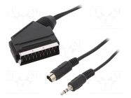 Cable; DIN mini 4pin plug,Jack 3.5mm 3pin plug,SCART plug; 10m GEMBIRD