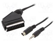 Cable; DIN mini 4pin plug,Jack 3.5mm 3pin plug,SCART plug; 15m 