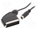Cable; DIN mini 4pin plug,SCART plug; 1.8m; black; Øcable: 4mm GEMBIRD