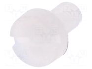 Screw; M3x6; 0.5; Head: cheese head; slotted; 0.9mm; polyamide DREMEC