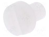 Screw; M4x6; 0.7; Head: cheese head; slotted; 1.3mm; polyamide DREMEC